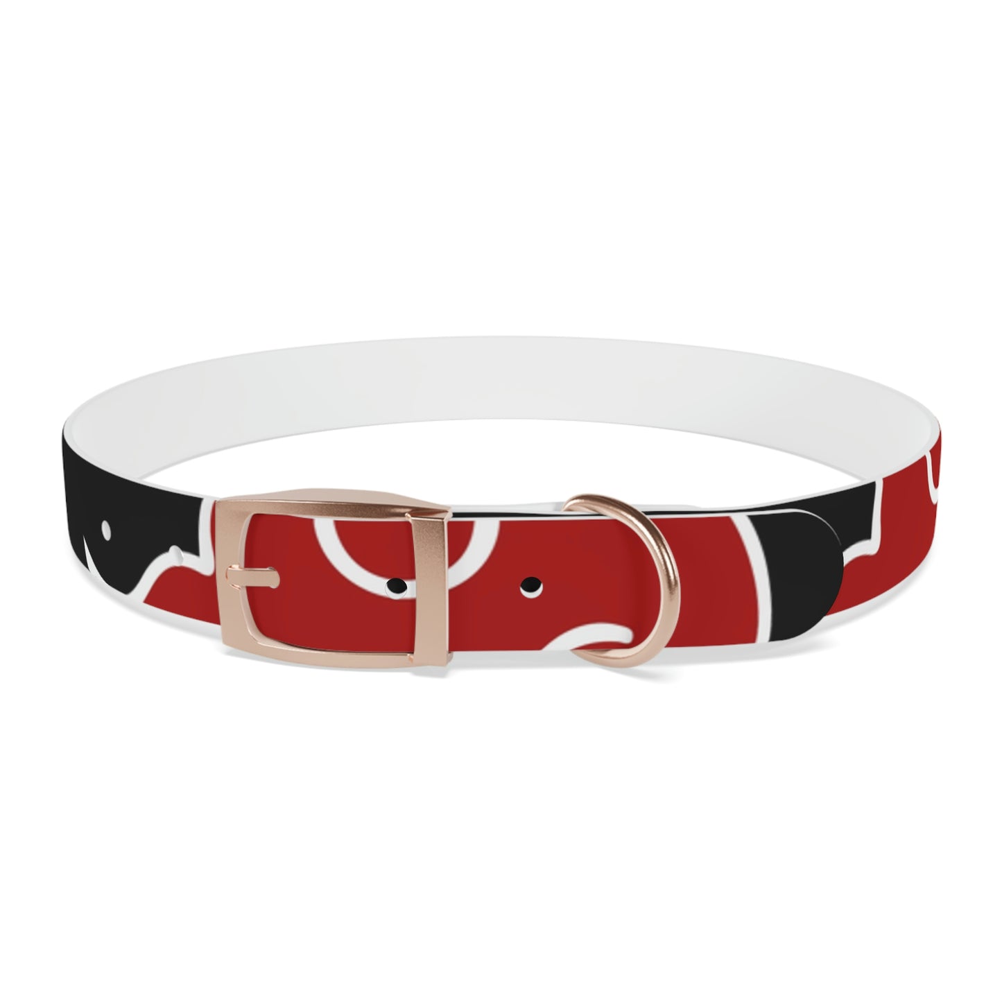 Dog Collar