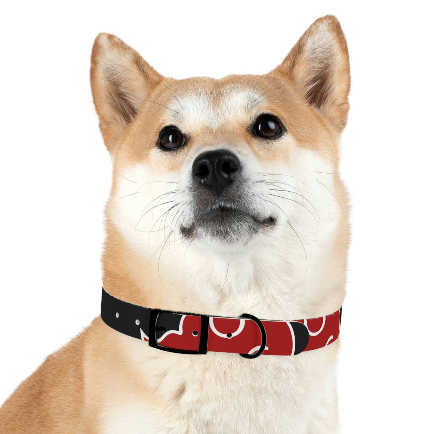 Dog Collar