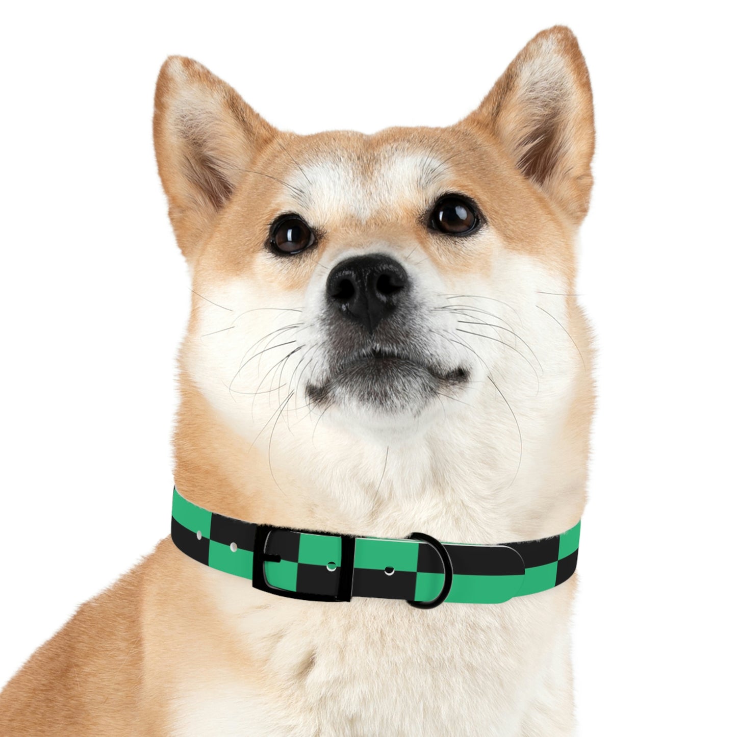 Dog Collar