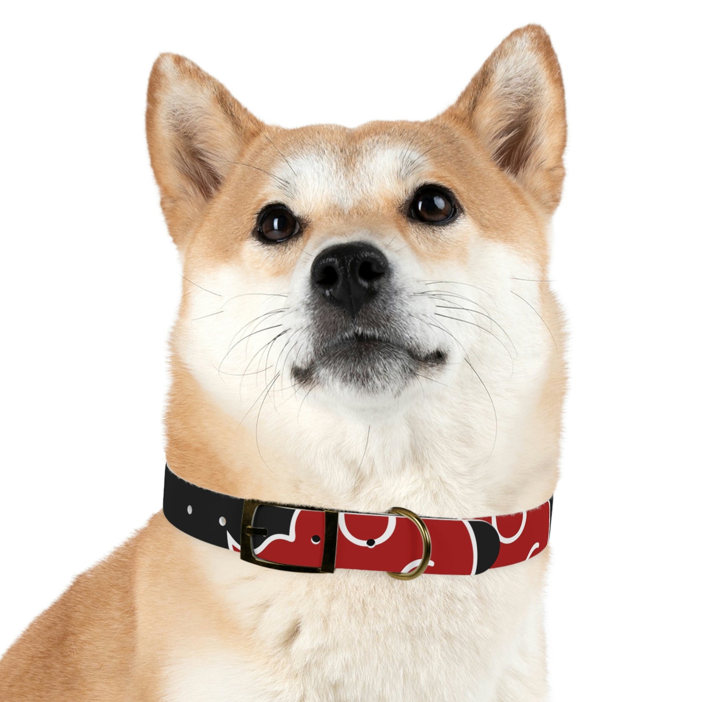 Dog Collar